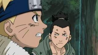 Naruto shippuden episode 161 dubbed